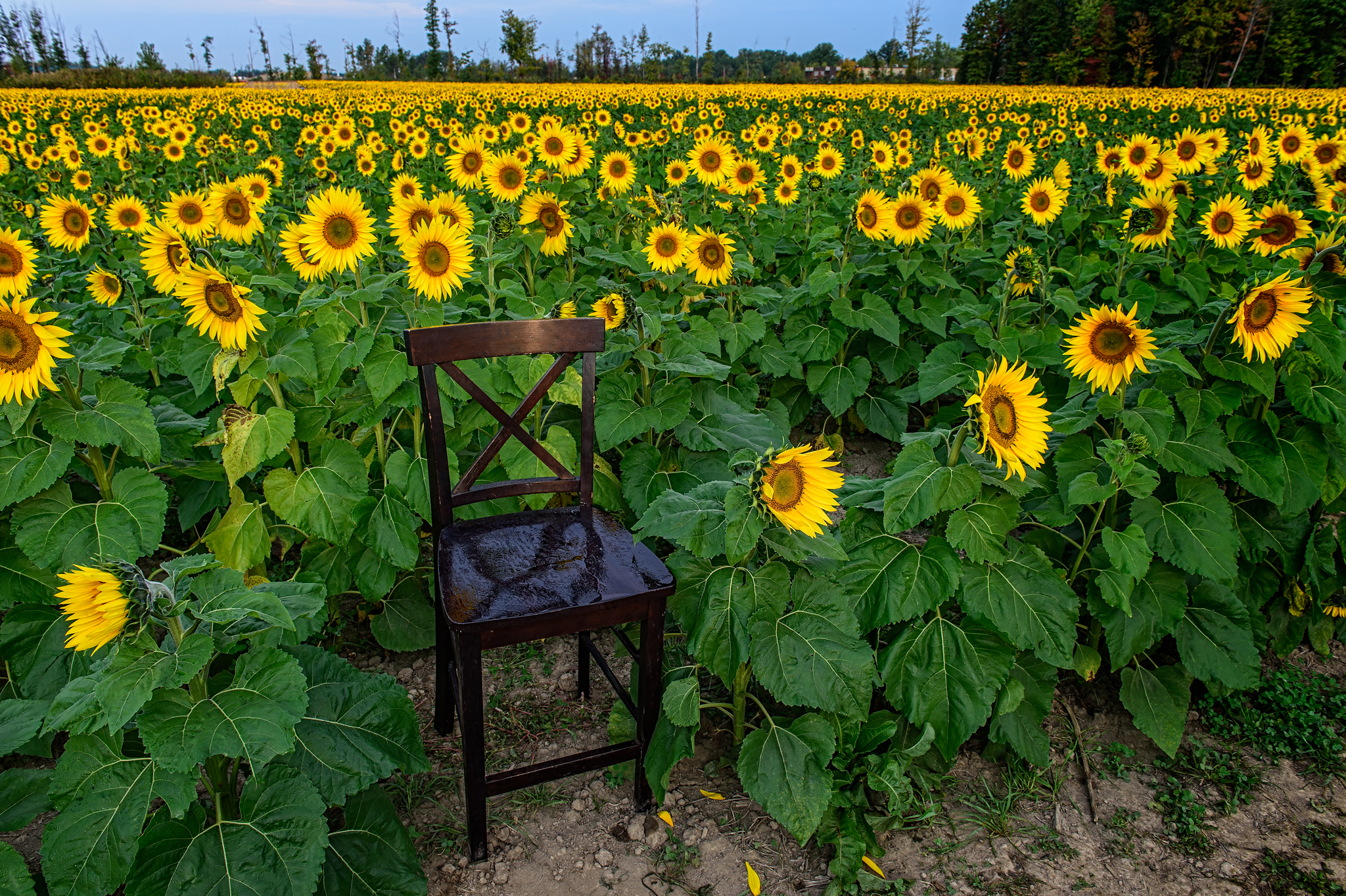 timeout chair